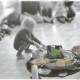 KIndergarten feiert Erntedank